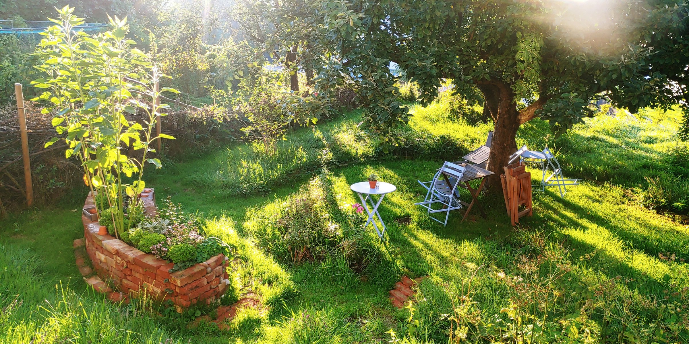 Historischer Bauernhof - Hof54