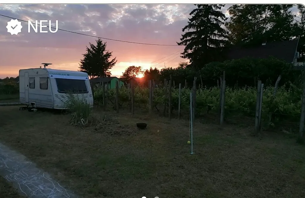 Kleiner Weinberg, ebenes Grundstück