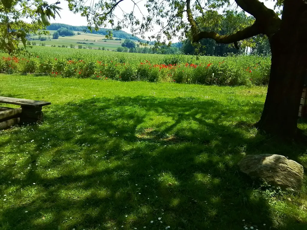Idyllisches Camping auf dem Biohof