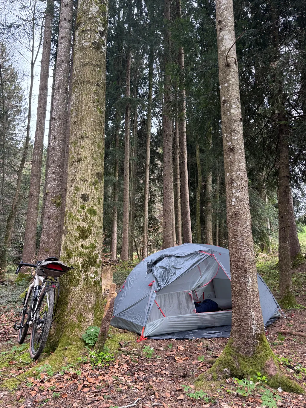 Bild von Daniel für den Spot 207