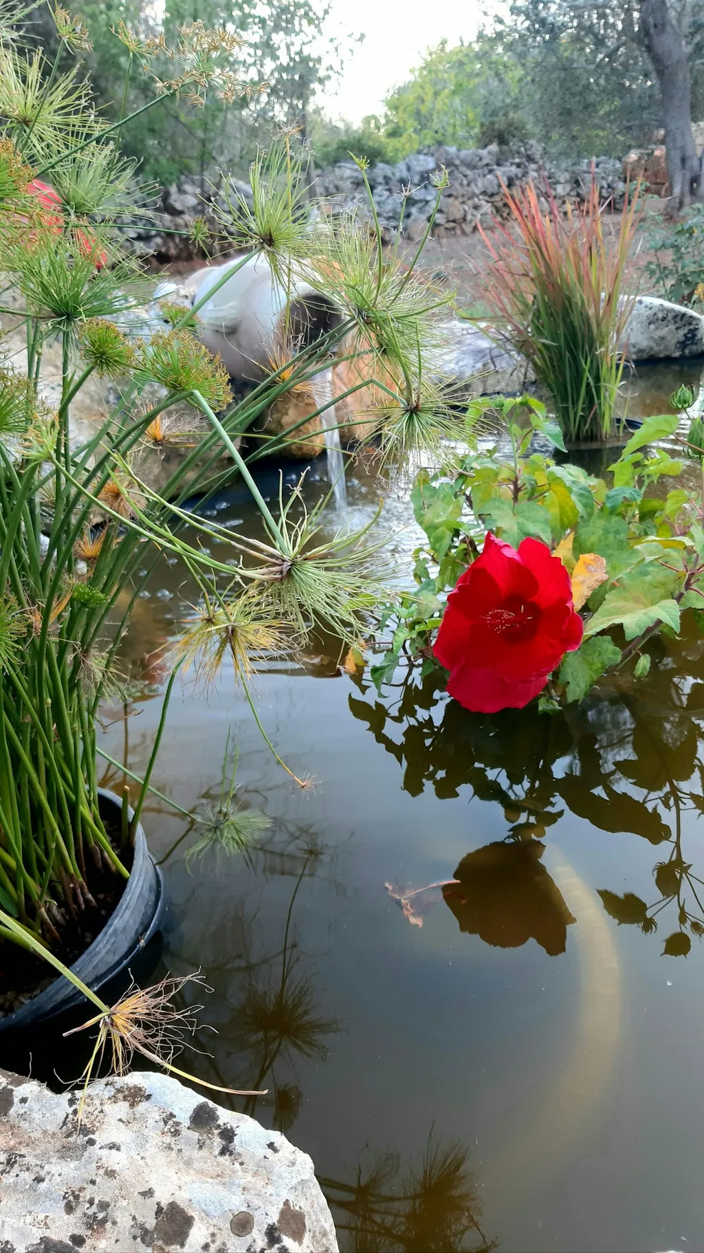 Camp Badia San Michele