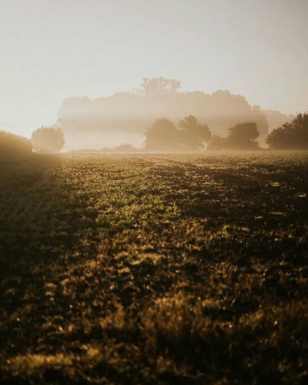 #Nebel