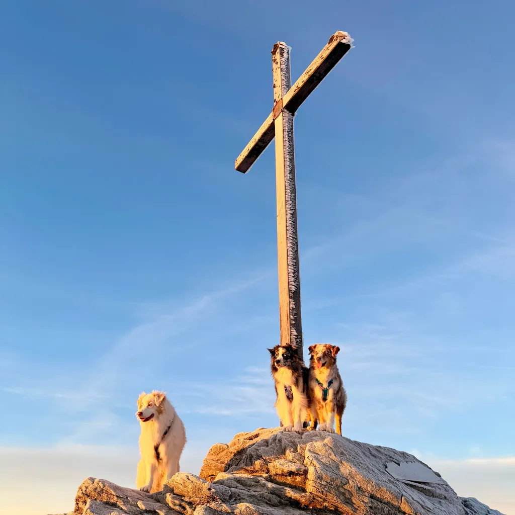 Profilbild von Barbara