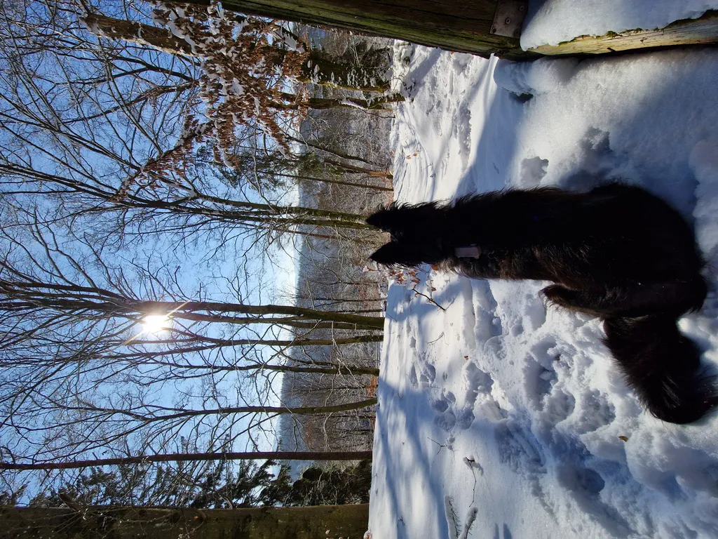 Bild von Katharina für den Spot 1440