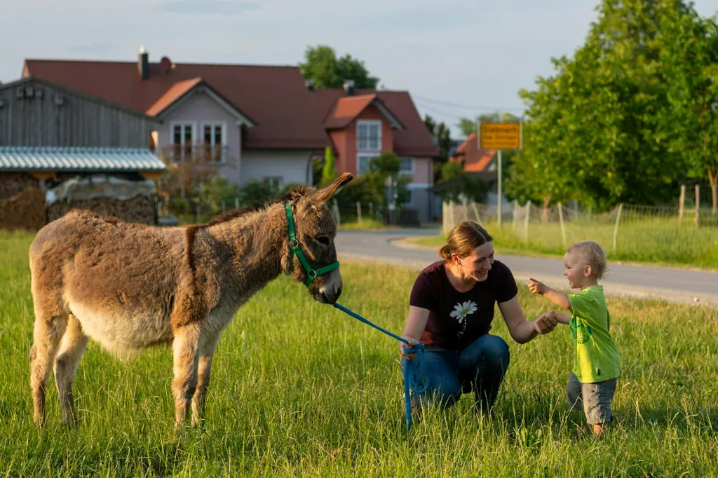 Bio-Bauernhof zum Miterleben
