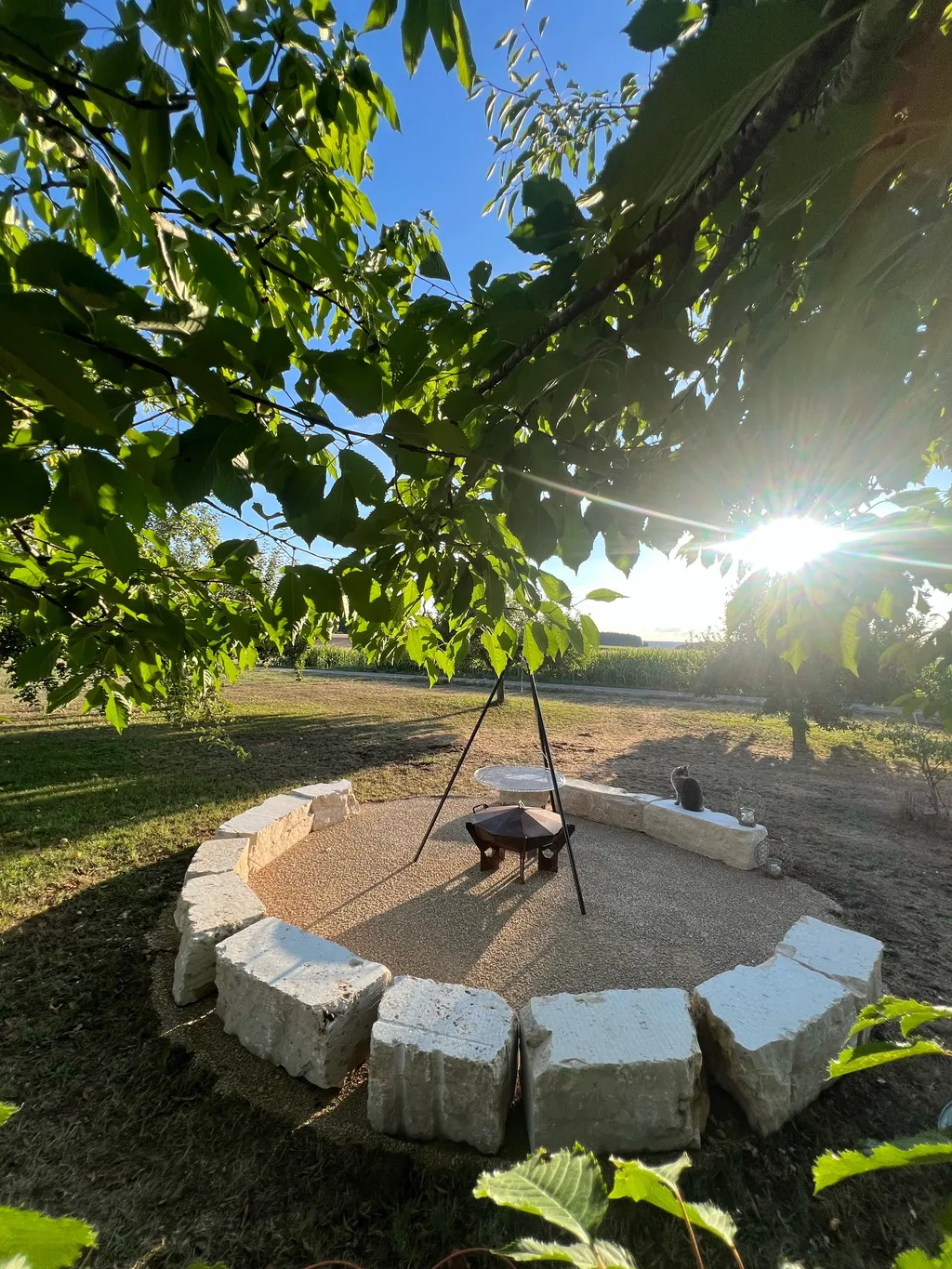 Obstwiese mit Weitblick am Waldrand