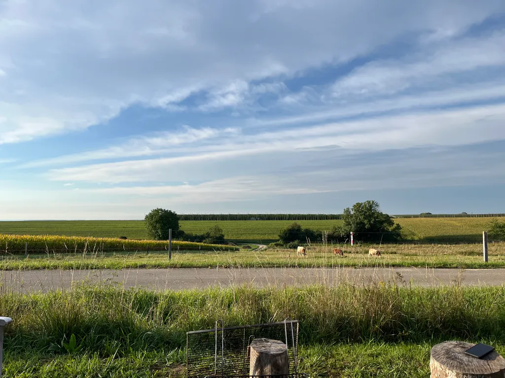 Image de Marina pour le spot 1717