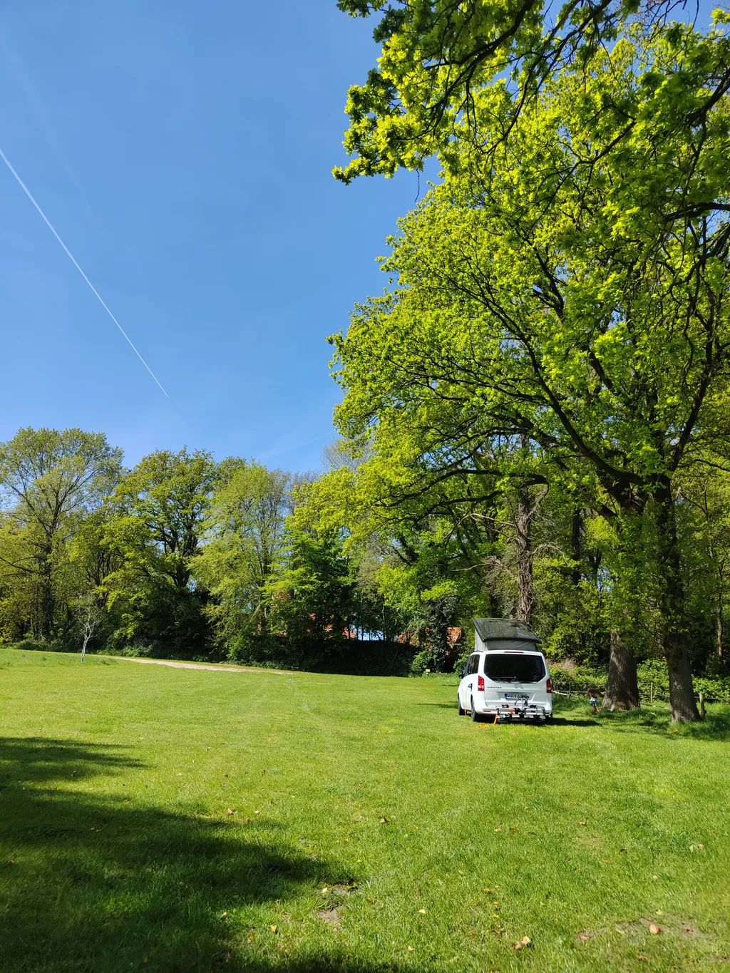 Kleine Weide unter Bäumen.