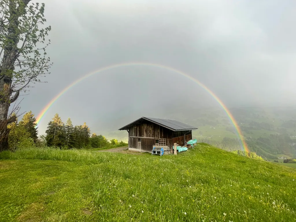 Bild von Lou für den Spot 336