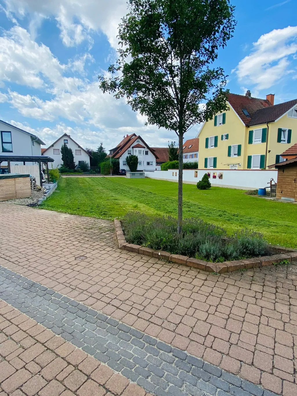 Zwischen Rhein und Reben