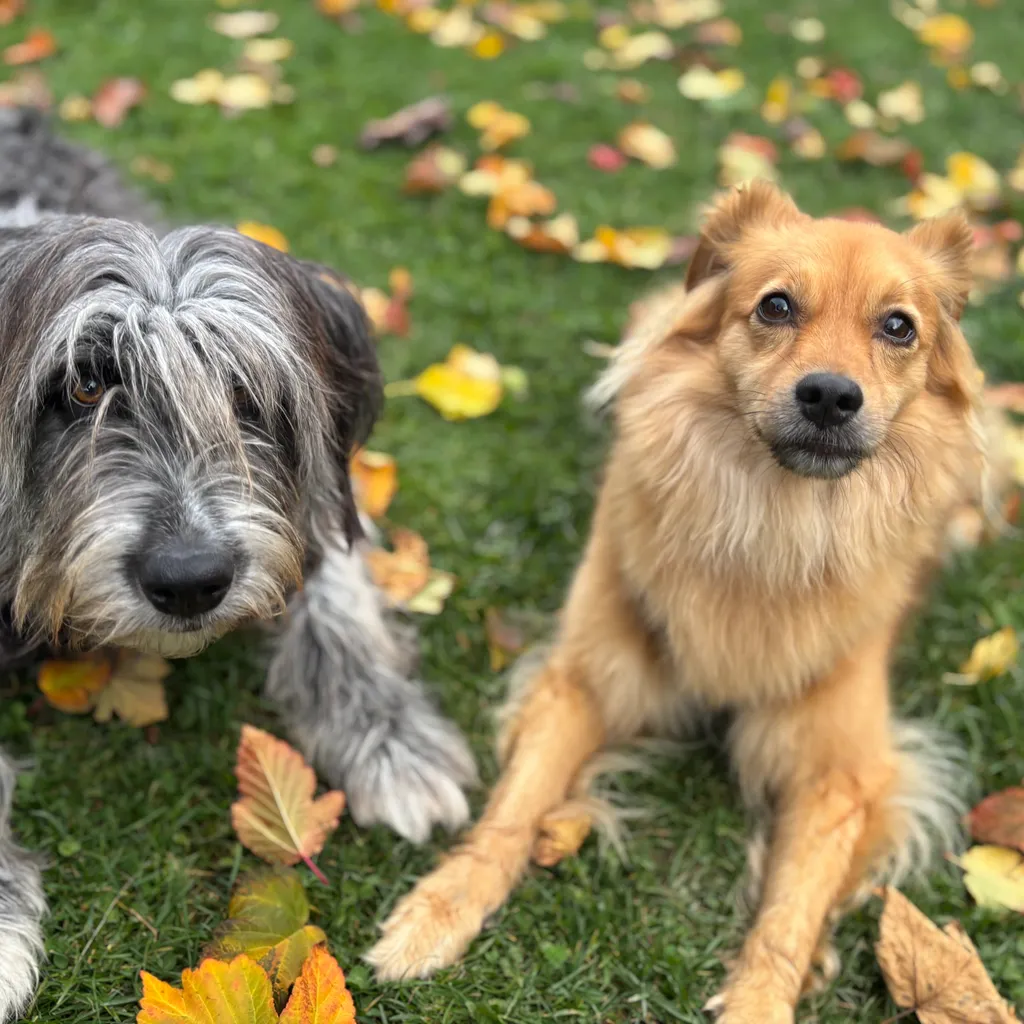 Profilbild von Kathrin