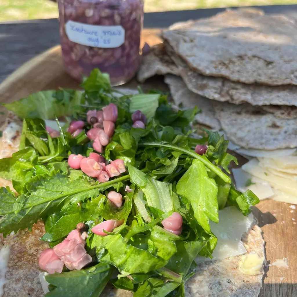 Hausgemachte Bio-Mahlzeit (Mittag- oder Abendessen)