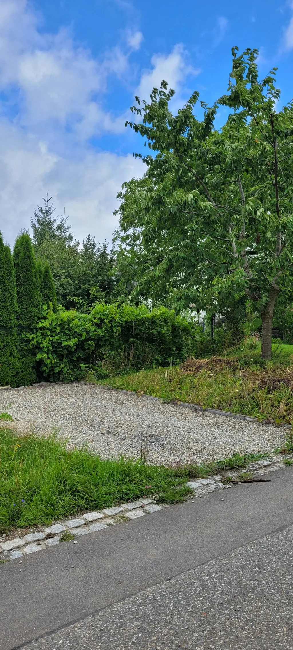 Stellplatz am Kirschbaum