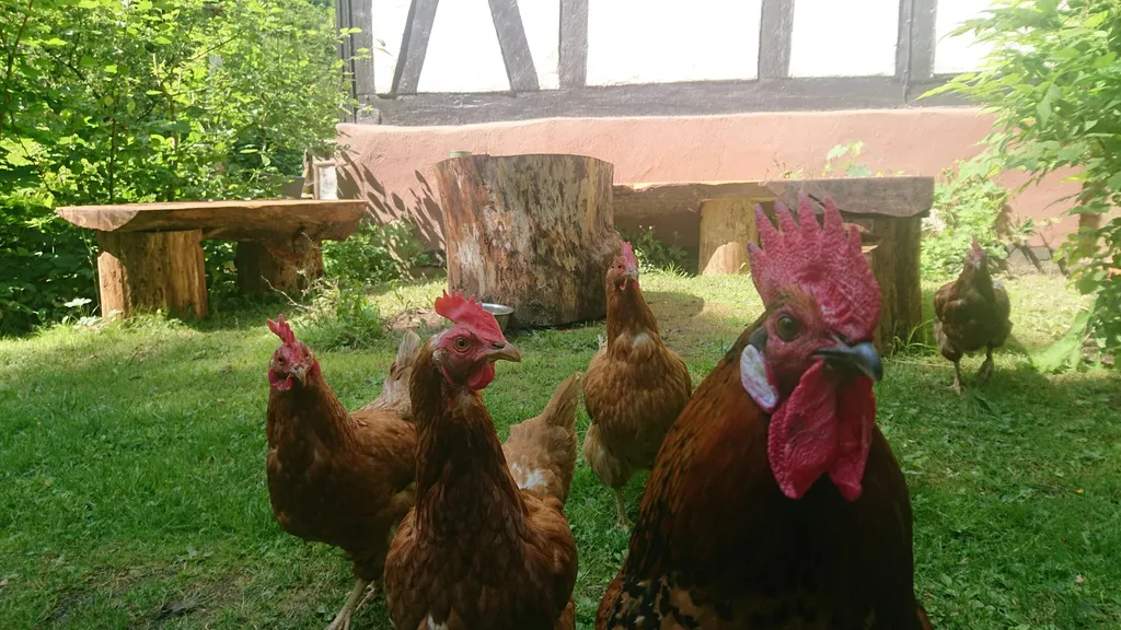 Paradies im Siebertal