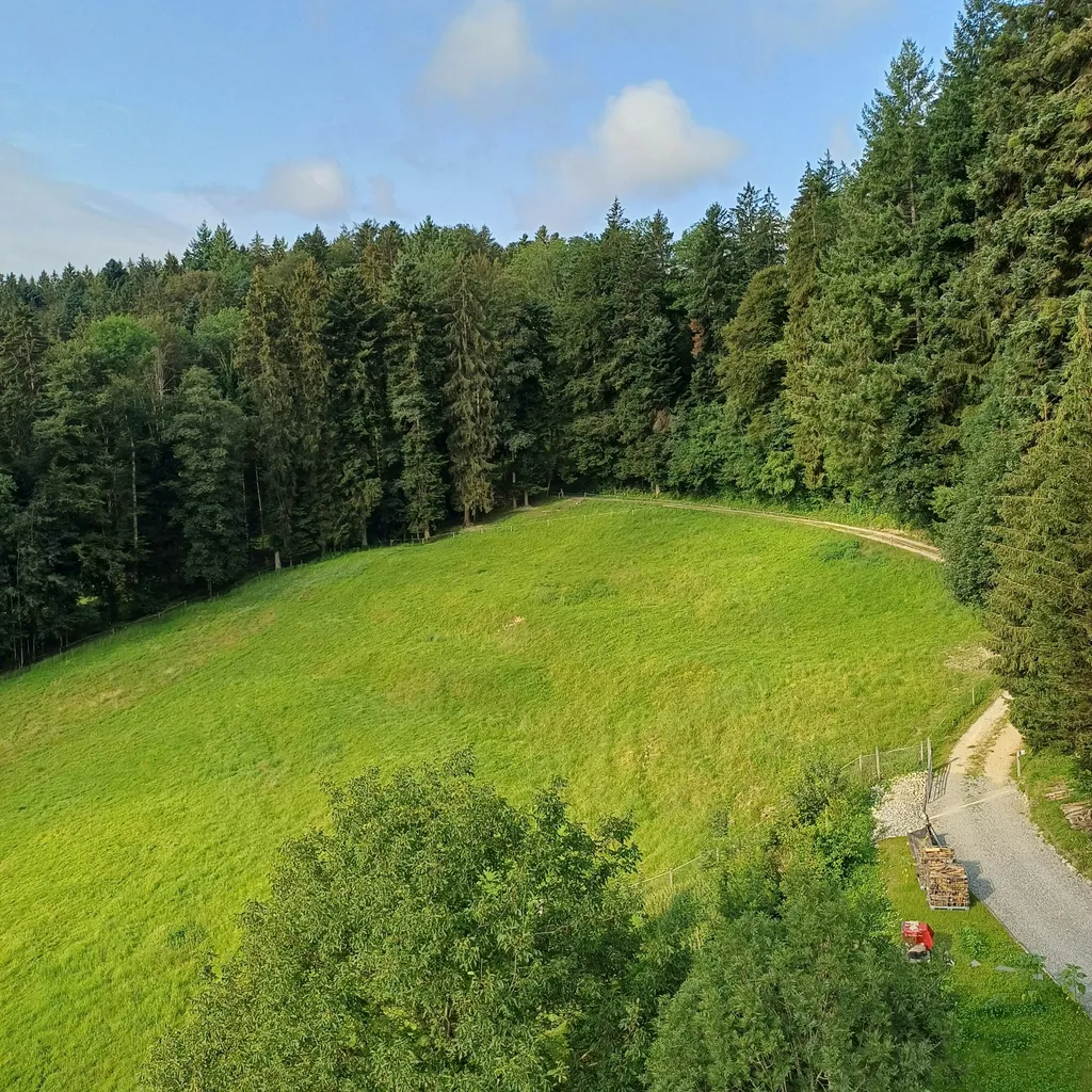 Zelten im Tannenmoos