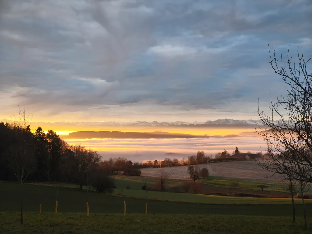 Winter: Die Aussicht vom Platz am Wald