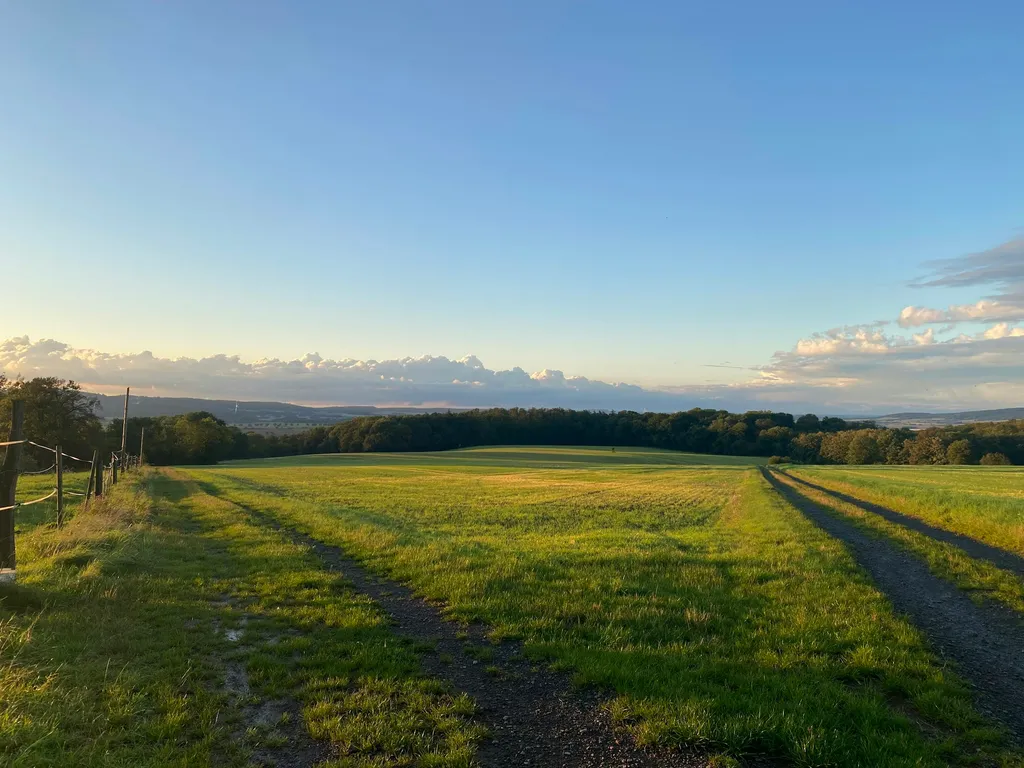Panoramablick unter Kastanie