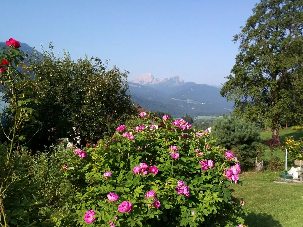 Zimmer sucht Schlafsack!