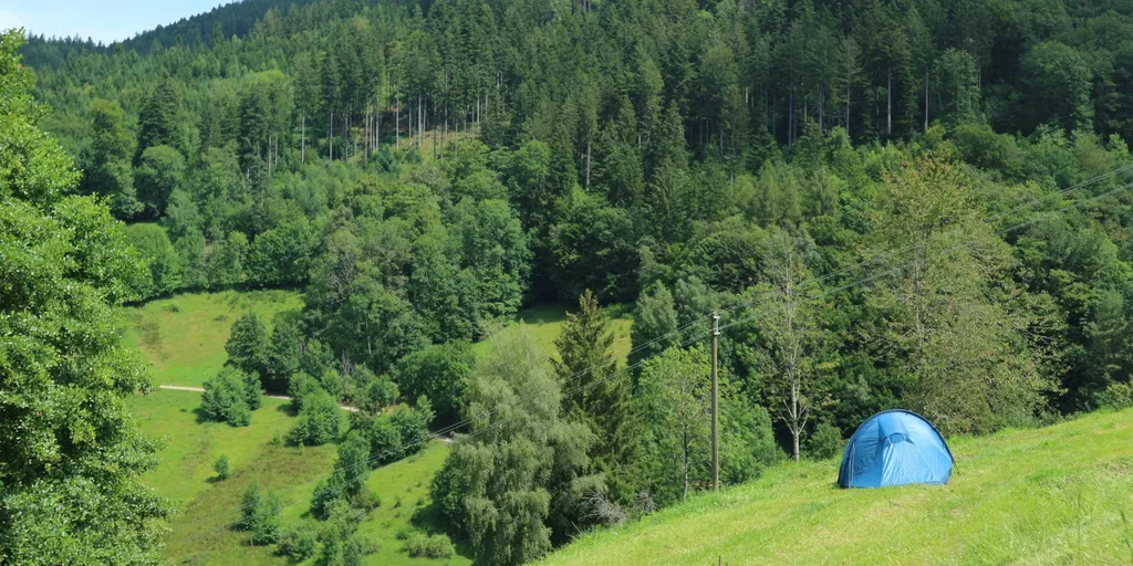 Entschleunigte Schwarzwald-Idylle