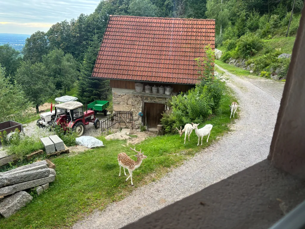 Stellplatz mit Ausblick in die Rheinebene
