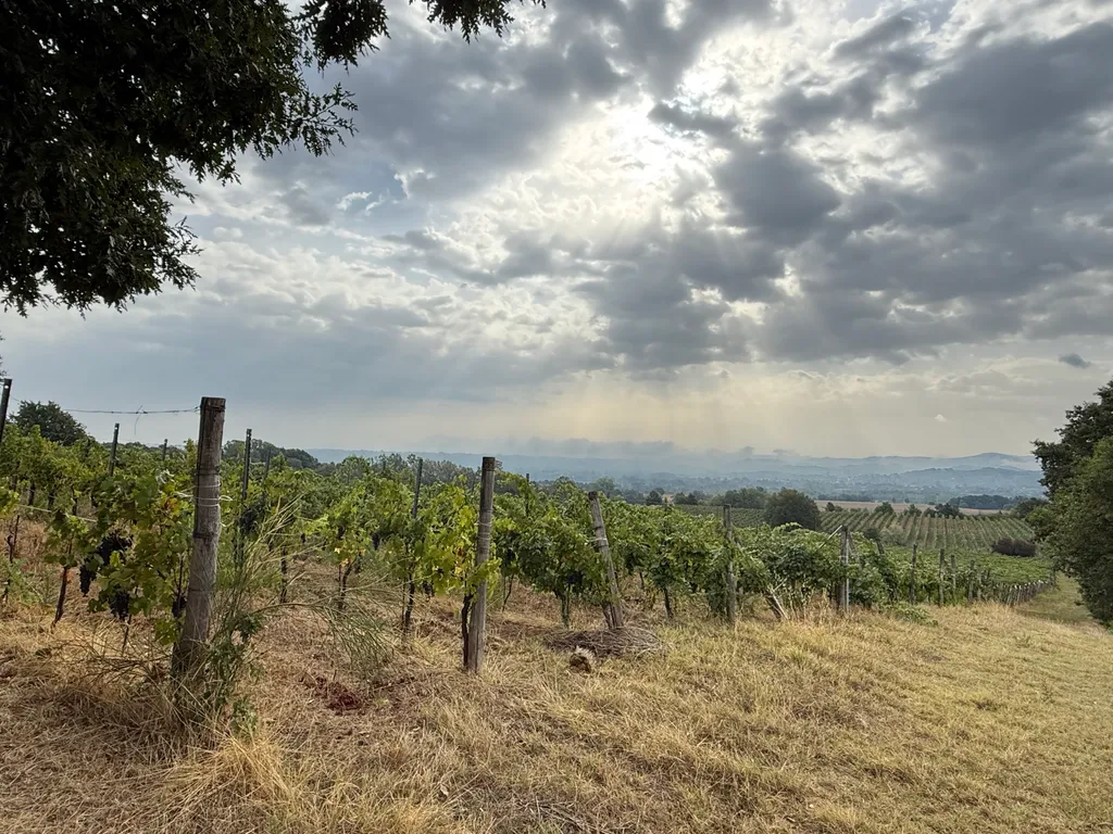 Bild von Sandra für den Spot 716