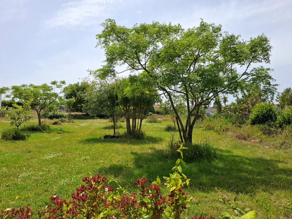 Caria’s Organic Farm near the Silver Coast surf