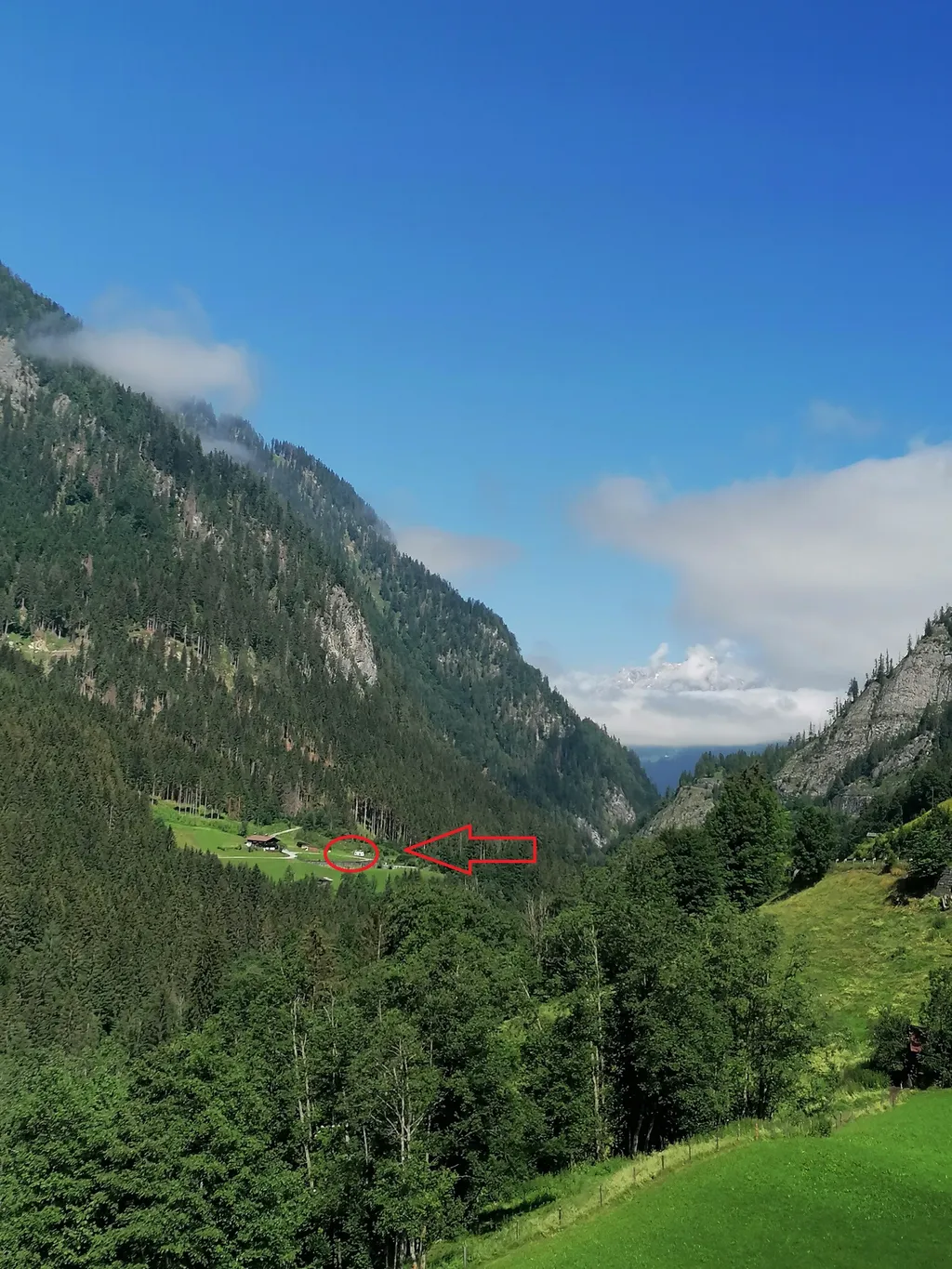 IMG_20220630_105545_resized_20220701_061614133(1) - Kopie.jpg