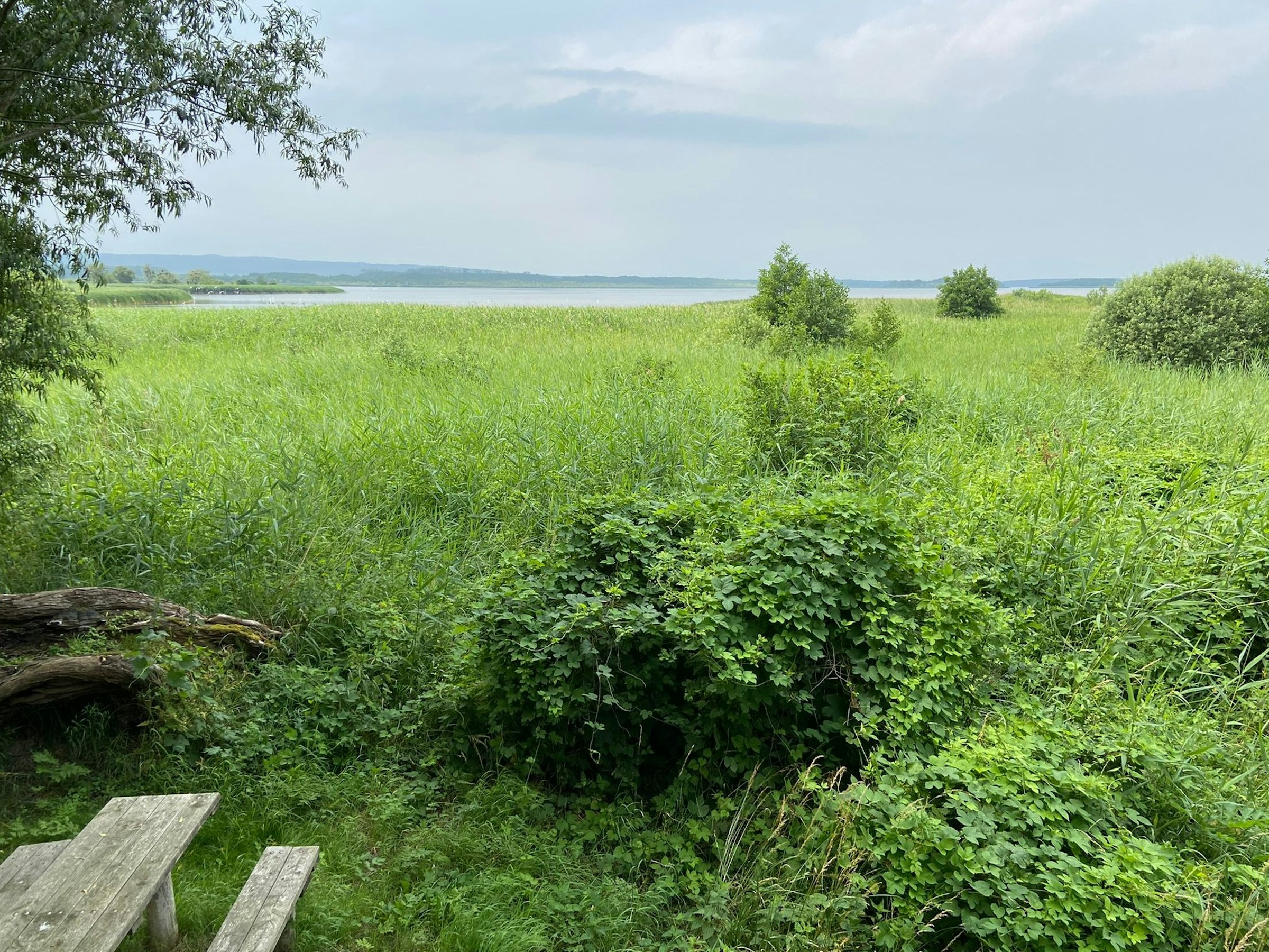 Kranichblick Galenbeckersee Camp