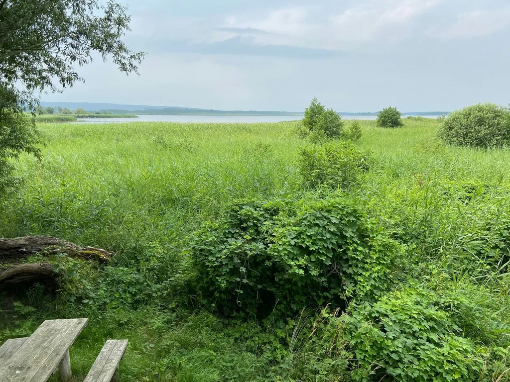 Kranichblick Galenbeckersee Camp