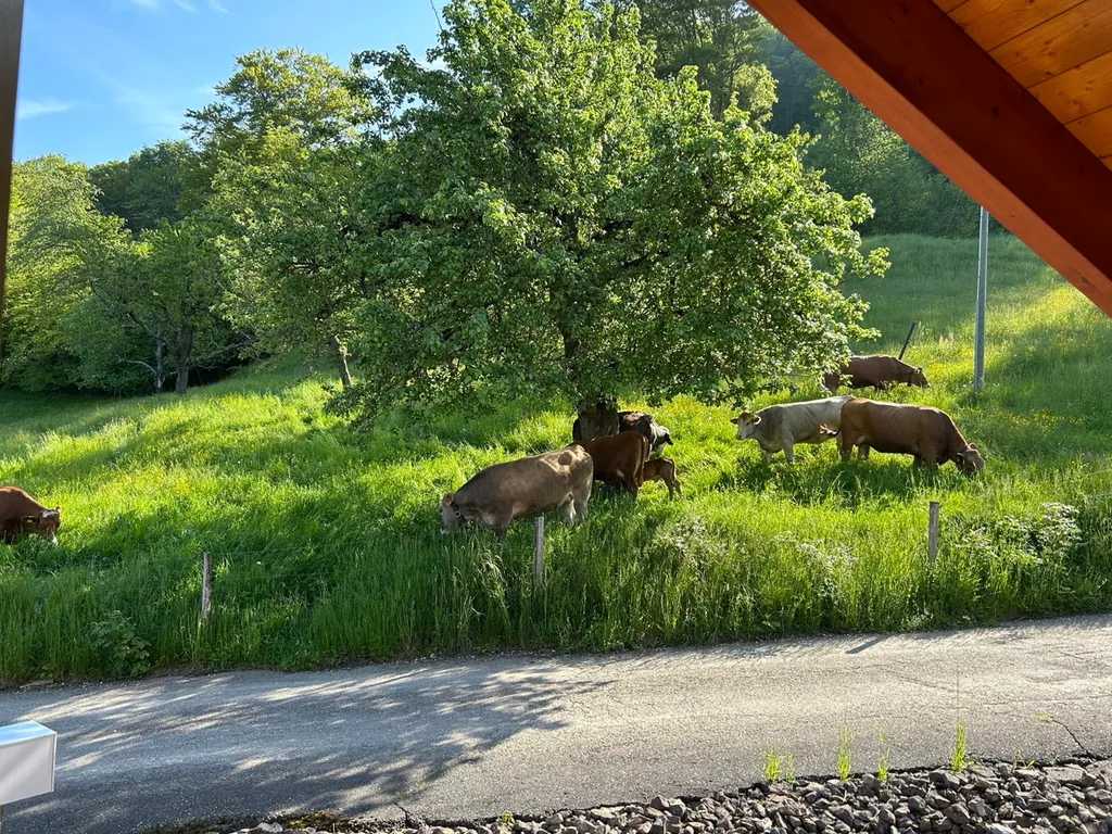 Ehemaliger Bauernhof mit grossartiger Aussicht