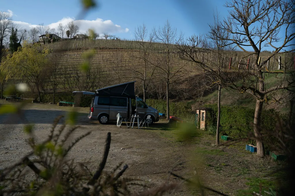 Camp Grancollina 🍷🍇