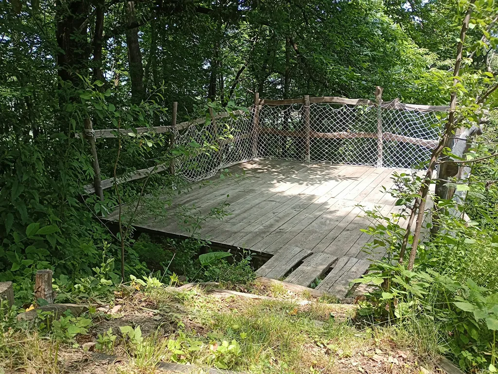 Camp in mezzo al bosco